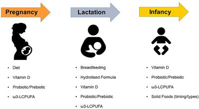 Nutritional Factors in the Prevention of Atopic Dermatitis in Children